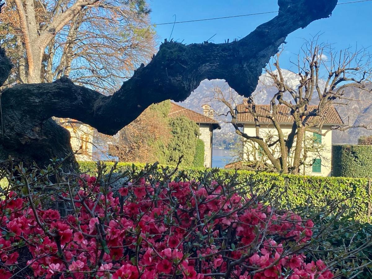 Villa Magnolia - Lake Como لينّو المظهر الخارجي الصورة
